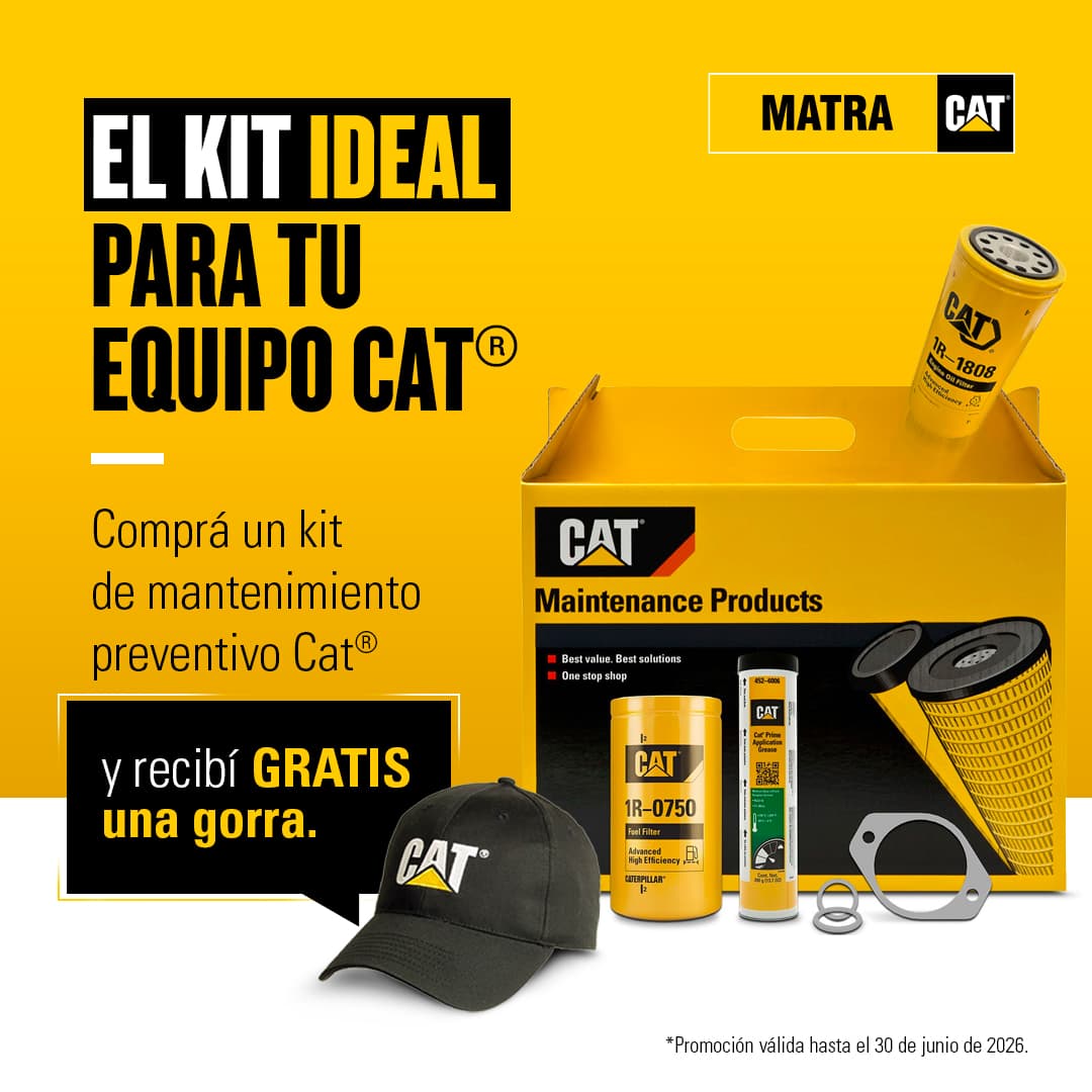 MP Kit Cat
